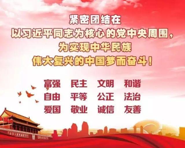 生化危机：浣熊市行动